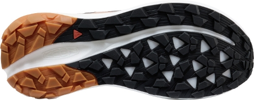 SAFARI/BLACK SEEK - Perspective 4