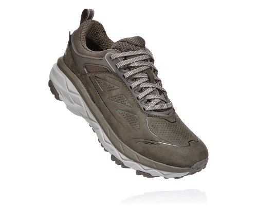 hoka gtx wide