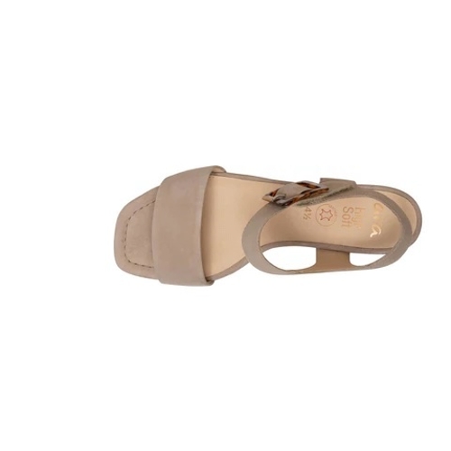 SAND BETHEL - Perspective 3