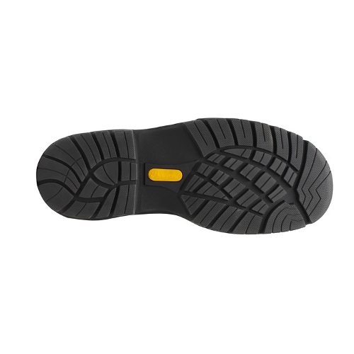 CRAZY HORSE GENESIS - Perspective 4