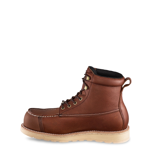 BROWN WINGSHOOTER XD - Perspective 2