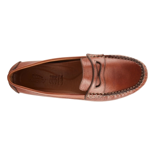 BROWN AUDETTE - Perspective 3