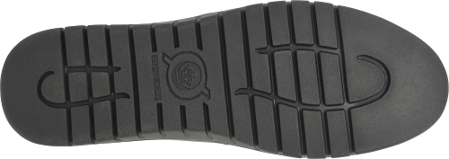 BLACK SEBRA II - Perspective 4