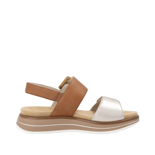 LIGHT BRASS/NOCCIA D1J53 - Perspective 2