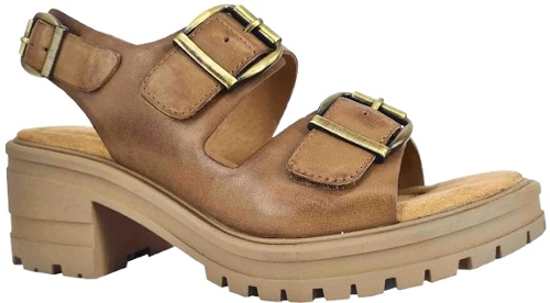 NUTHATCH BOSNIA HONEY