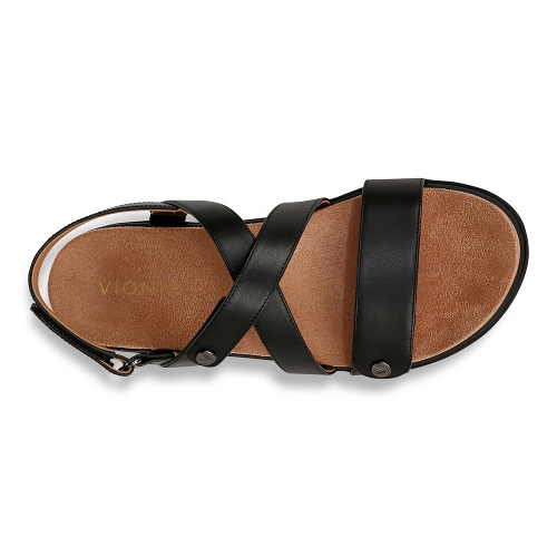 BLACK CYPRESS - Perspective 3