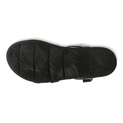 BLACK CYPRESS - Perspective 4