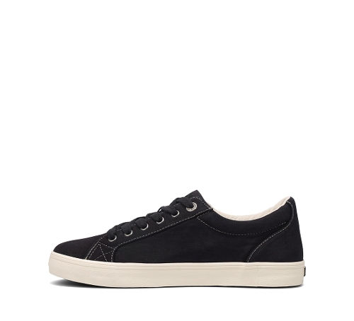 BLACK STARSKY - Perspective 2