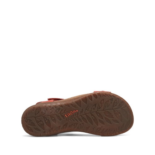 BRUSCHETTA WONDERFUL - Perspective 4